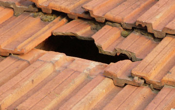 roof repair Swannington